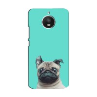 Бампер для Motorola Moto E Plus (XT1771) с картинкой "Песики" – Собака Мопс