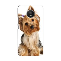 Чехол (ТПУ) Милые собачки для Motorola Moto E Plus (XT1771) (Собака Терьер)