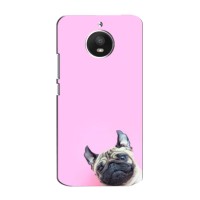 Бампер для Motorola Moto E (XT1762) с картинкой "Песики" – Собака на розовом