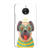Бампер для Motorola Moto E (XT1762) з картинкою "Песики" – Собака Король