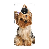 Чехол (ТПУ) Милые собачки для Motorola Moto E (XT1762) (Собака Терьер)