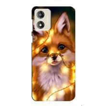 Чехлы с картинкой Лисички для Motorola MOTO E13 (VPrint) (Лисичка в гирляндах)