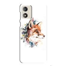 Чехлы с картинкой Лисички для Motorola MOTO E13 (VPrint) (Лисичка в цветочках)