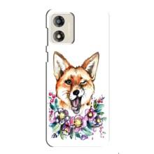 Чехлы с картинкой Лисички для Motorola MOTO E13 (VPrint) (Веселая лисичка)
