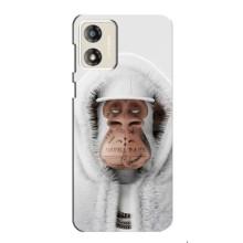 Чехлы с Обезьянами NFT для Motorola MOTO E13 (AlphaPrint) (обезьяна NFT в тату)
