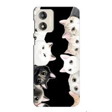 Чехол на Мото Е13 с Котами (VPrint) (Взгляд котов)