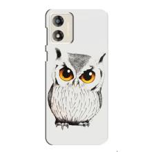 Чехол с птицами на Motorola MOTO E13 (VPrint) (Милая Сова)