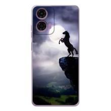 Чохли з зображенням різних тварин на Motorola Moto E14 (Кінь)