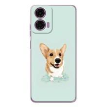 Чохли з собаками для Motorola Moto E14 (VPrint) (Коргі)