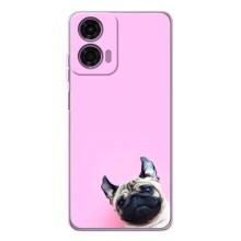 Чохли з собаками для Motorola Moto E14 (VPrint) (Смішна собака)