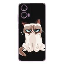 Чехол на тематику: Коты для Motorola Moto E14 (Взгляд кота)