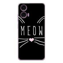 Бампер с изображением Котиков для Мото Е14 (КОТИК MEOW)