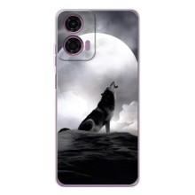Чехол с Волком на Motorola Moto E14 – Волк и луна