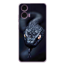 Чехол с картинкой «Хищники» для Motorola Moto E14 – Змея