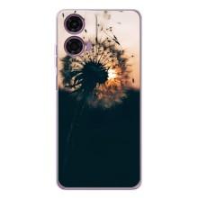 Силиконовый Чехол с одуванчиками на Motorola Moto E14 – Красивый одуванчик
