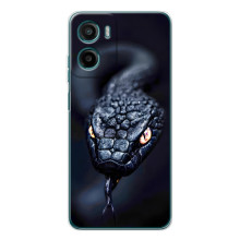 Чехол с картинкой «Хищники» для Motorola Moto E15 (Змея)