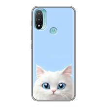Чохол на тематику: Коти для Motorola MOTO E20 (Білий кіт)
