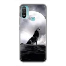 Чохол з Вовком на Motorola MOTO E20 (Вовк і місяць)