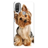 Чехол (ТПУ) Милые собачки для Motorola Moto E20 – Собака Терьер