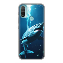Чехол с картинкой «Хищники» для Motorola MOTO E20 – Акула