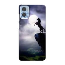 Чохли з зображенням різних тварин на Motorola MOTO E22 (Кінь)