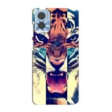 Чохли з зображенням різних тварин на Motorola MOTO E22 (Яскравий Тигр)