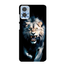 Чохол з картинкою 'Хижаки' для Motorola MOTO E22 – Лев