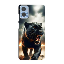 Чохол з картинкою 'Хижаки' для Motorola MOTO E22 – Пантера