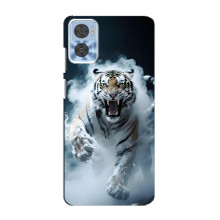 Чохол з картинкою 'Хижаки' для Motorola MOTO E22 – Тигр