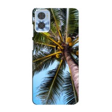Силіконовий чохол з КАРТИНКАМИ літо для Motorola MOTO E22 (AlphaPrint) (Пальма)