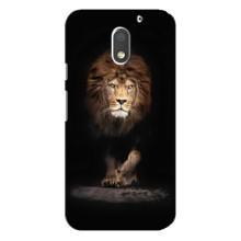 Чохол з картинкою ЛЕВ для Motorola MOTO E3 (VPrint) (Лев)