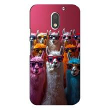 Чехол с принтом стильные животные для Мото Е3 – Ламы в очках