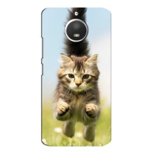 Чохли з Котиками для Motorola MOTO E4 (VPrint) (Прижок кота)