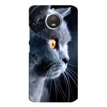 Чохли з Котиками для Motorola MOTO E4 (VPrint) (Сірий Кіт)