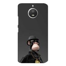 Чехлы с Обезьянами NFT для Motorola MOTO E4 (AlphaPrint) – Обезьяна NFT