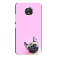 Бампер для Motorola Moto E4 с картинкой "Песики" (Собака на розовом)