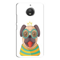 Бампер для Motorola Moto E4 з картинкою "Песики" – Собака Король