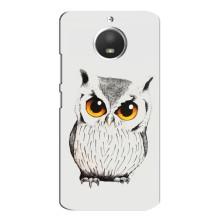 Чохол з пташками на Motorola MOTO E4 (VPrint) – Мила Сова