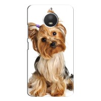 Чехол (ТПУ) Милые собачки для Motorola Moto E4 – Собака Терьер