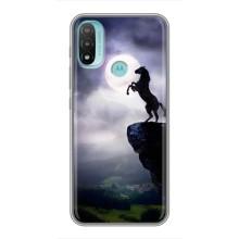Чохли з зображенням різних тварин на Motorola MOTO E40 (Кінь)