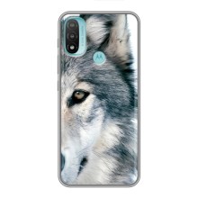 Чехлы с картинками животных Motorola MOTO E40 (Волк)