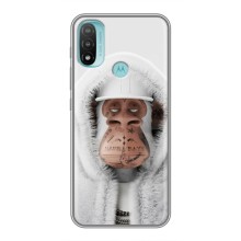 Чехлы с Обезьянами NFT для Motorola MOTO E40 (AlphaPrint) (обезьяна NFT в тату)