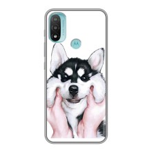 Чехлы с собаками для Motorola MOTO E40 (VPrint) (Довольный Хаски)