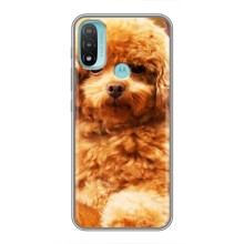 Чехлы с собаками для Motorola MOTO E40 (VPrint) (Щенок Бишон)
