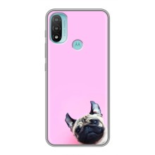 Чехлы с собаками для Motorola MOTO E40 (VPrint) (Смешная собака)