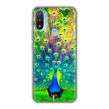 Чехол с птицами на Motorola MOTO E40 (VPrint) (Яркий Павлин)