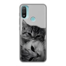 Чехол с рисунком кот на Motorola MOTO E40 (Пара котов)