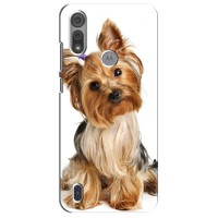 Чехол (ТПУ) Милые собачки для Motorola Moto E6S – Собака Терьер