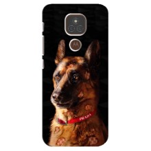 Чехлы с картинками животных Motorola MOTO E7 Plus (Овчарка)