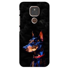 Чехлы с картинками животных Motorola MOTO E7 Plus (Собака)